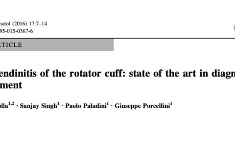 Calcific tendinitis of the shoulder: state of the art
