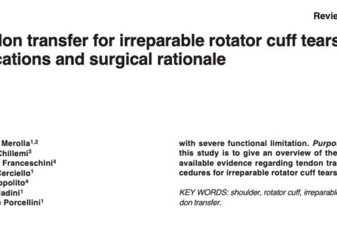 Tendon transfer for irreparable rotator cuff tears