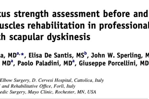 Infraspinatus strength assessment before and after scapular muscles rehabilitation in professional volleyball players with scapular dyskinesis