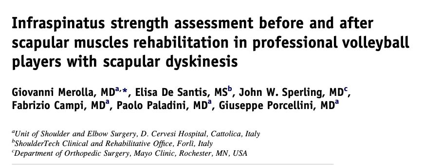 Infraspinatus strength assessment before and after scapular muscles rehabilitation in professional volleyball players with scapular dyskinesis