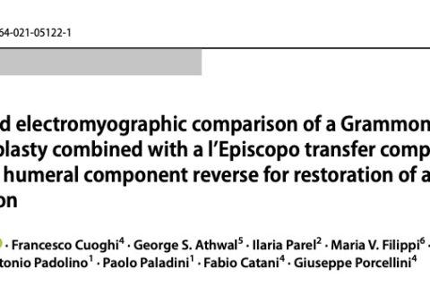A kinematic and electromyographic comparison of a Grammont‑style reverse arthroplasty combined with a l’Episcopo transfer compared to a lateralized humeral component reverse for restoration of active external rotation